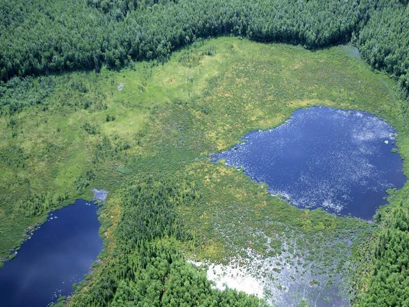 一句话表达缘分已尽(55句)