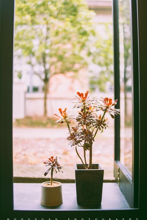 关于手抄报端午节的句子