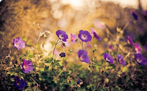 对恋人的思念句子