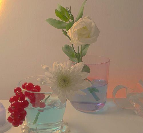 关于感情的句子伤感语录