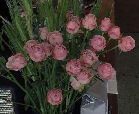 早安正能量句子集锦49条