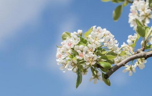 简单的人生哲理句子摘录35句