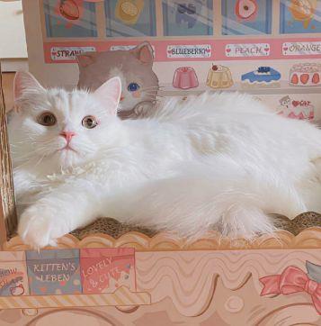 关于要珍惜时间的优美句子