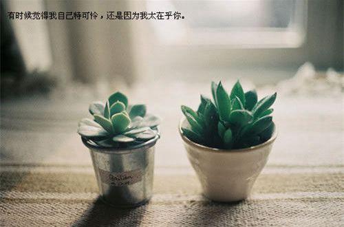 莫文蔚经典歌词句子