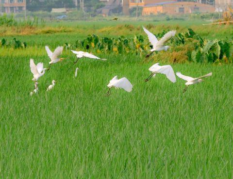 经典精辟爱情句子汇总58条