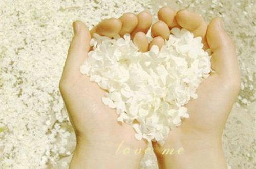 2025年通用优美古风句子锦集90条