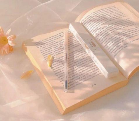 带有哲理的人生感悟句子