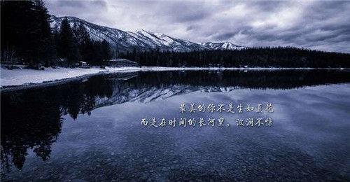 简单的花的优美句子摘录90条