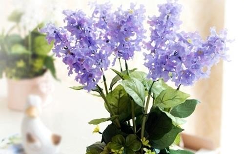 表达我想你的思念句子