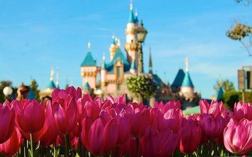 【热门】唯美伤感的句子摘录66条