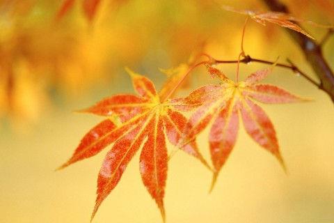 诙谐幽默而又充满睿智的句子