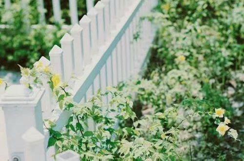 很霸气的人生哲理句子（通用60句）