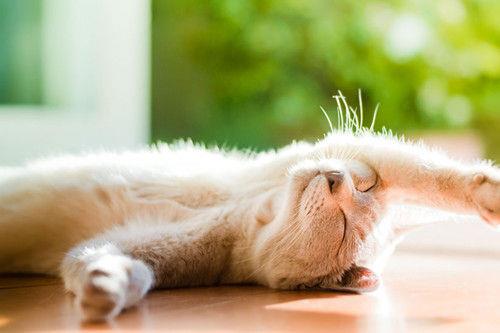 2025年常用悲伤的句子锦集99条