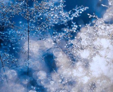 关于爱情的优美古风句子