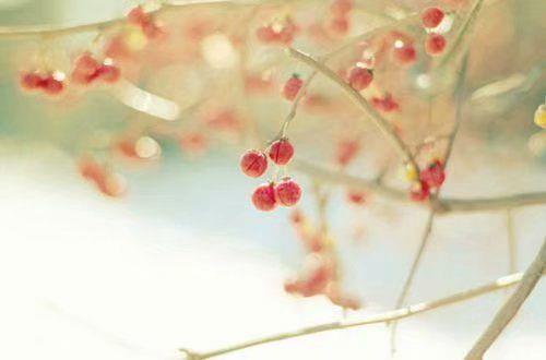 简单的有哲理的句子摘录88条