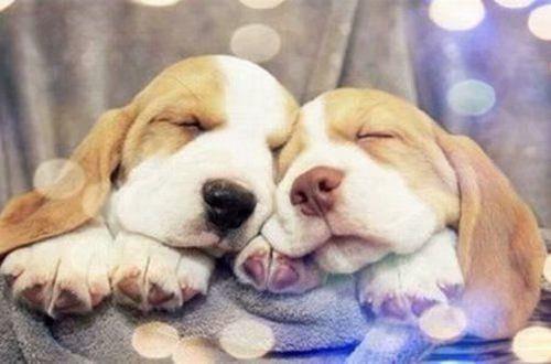 3月发的朋友圈文案说说3月份发的朋友圈说说文案大全