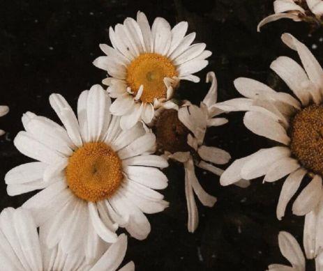 早安语录正能量的句子 适合发朋友圈的早安寄语