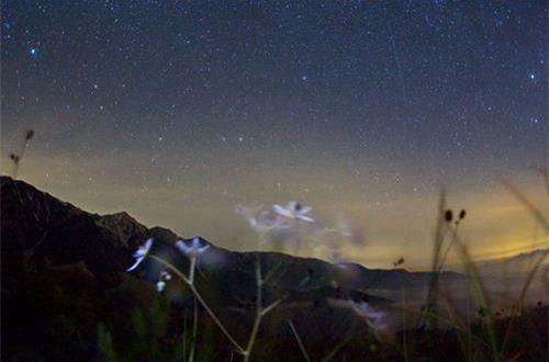 伤感爱情句子简短