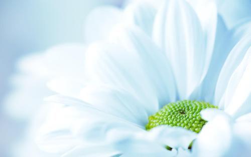 适合发朋友圈的句子很潮很走心