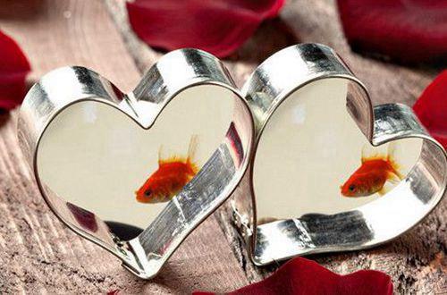 震撼心灵有哲理的句子