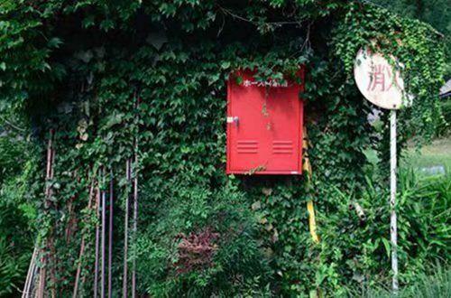 委婉表达思念的句子精选