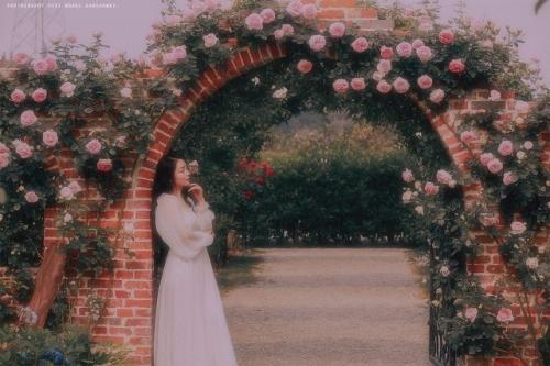 看透人生有哲理的句子