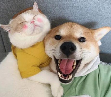 常用幸福温馨句子摘录99条