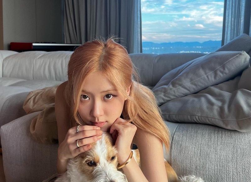 午餐的句子说说心情精选29句