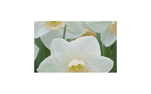 关于爱情的说说短句