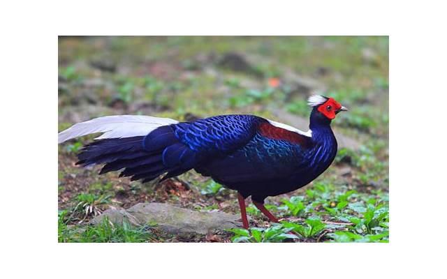 好烦躁的心情说说(心情烦躁的短句发朋友圈) 好烦躁的心情说说(心情烦躁的短句发朋友圈)