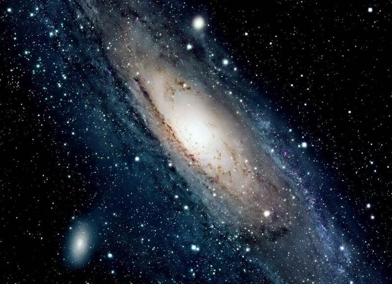  多肉开花唯美短句汇编96条