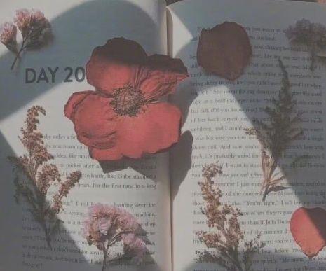 写一句美好早晨的句子一觉醒来的美好句子