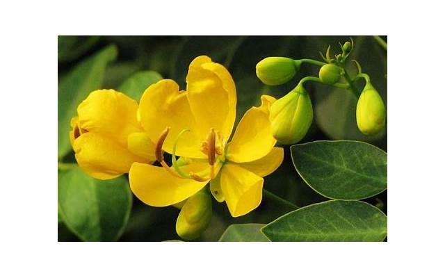 职场日常励志句子大全图片(职场励志短句文字图片)