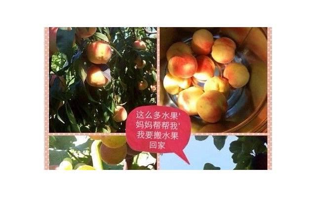  有关持之以恒的短句子聚集56句