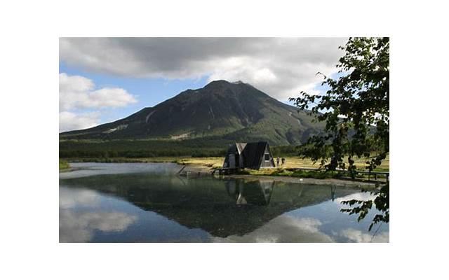  比较野的句子简短合集50句