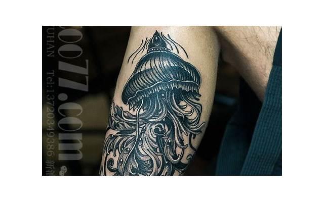 说说-关于怀孕的句子说说心情