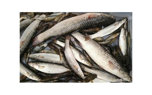 心情低落说说发朋友圈心情不好的说说(精选42句)