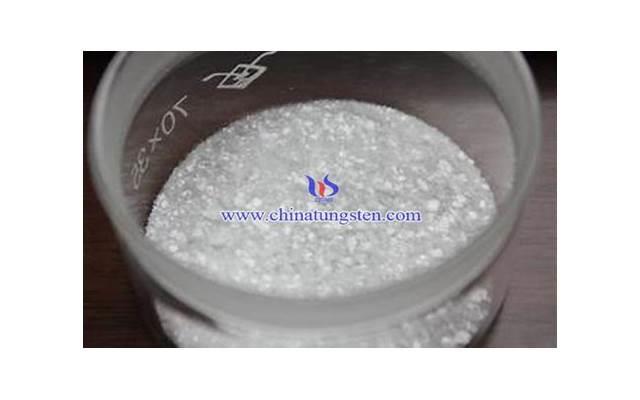 生活语录心情说说:能够主动来找我的