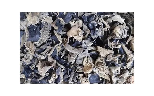 人生感悟的句子心情说说(人生感悟的句子心情说说图片) 人生感悟的句子心情说说(人生感悟的句子心情说说图片)