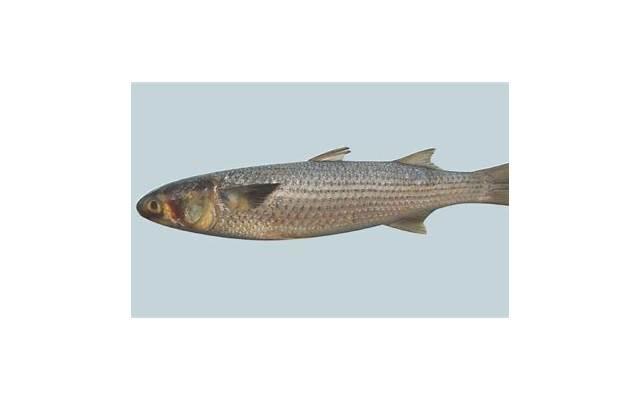 上班的说说心情短语抖音(疫情不能上班的说说心情短语)