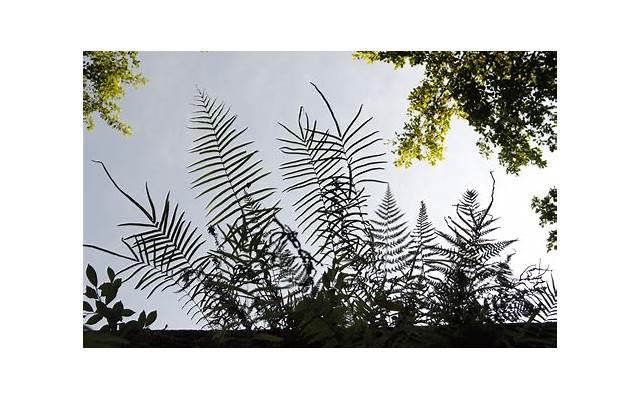 朋友圈早安心语唯美哲理说说心情句子配图 朋友圈早安心语唯美哲理说说心情句子配图