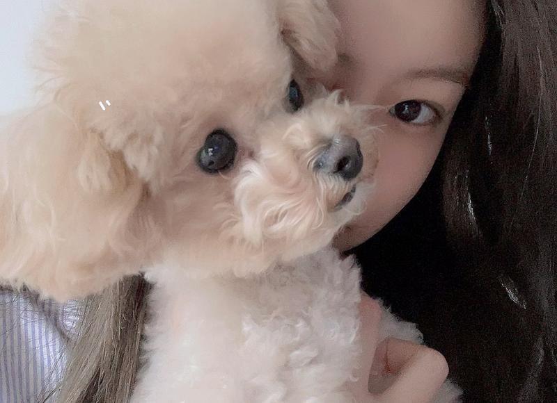 对象睡觉后发的英语情话「一些暖心情话」 对象睡觉后发的英语情话「一些暖心情话」