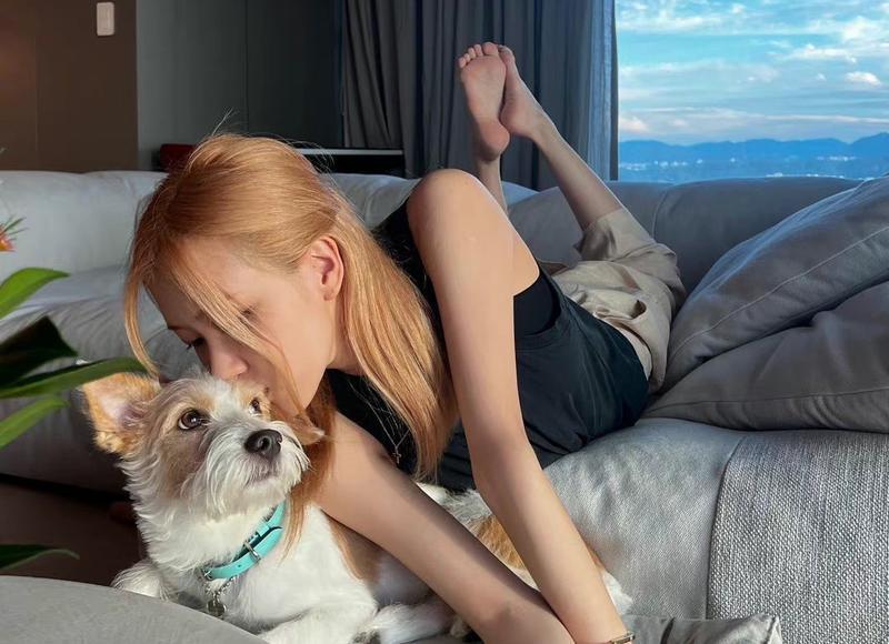 关于读书的心情的短句聚集100句 关于读书的心情的短句聚集100句