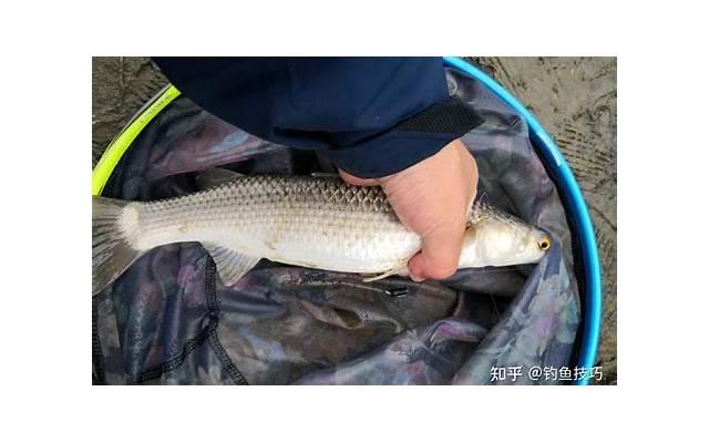 表达爱情不容易的句子(表达爱情不容易的句子说说)