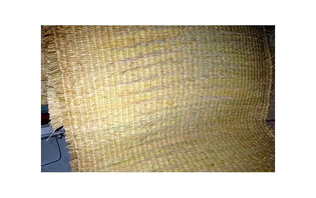 关于杨绛的名言名句