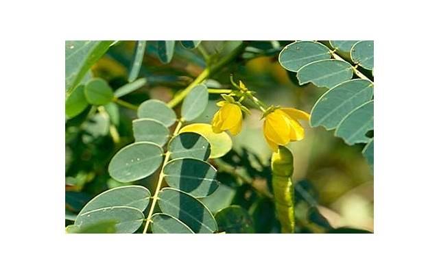 复杂的事情简单做名言 图片人心太复杂简单就好图片 复杂的事情简单做名言 图片人心太复杂简单就好图片