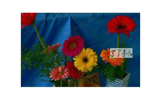 积累与朋友相处名言佳句(积累与朋友相处名言佳句摘抄)