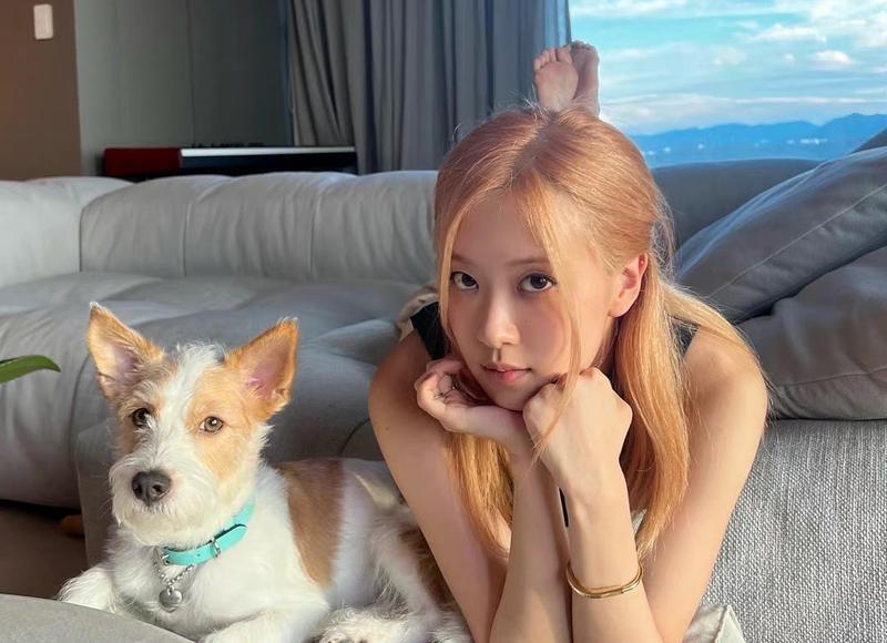 李清照爱情语录(不矫情的表白情话句子) 李清照爱情语录(不矫情的表白情话句子)