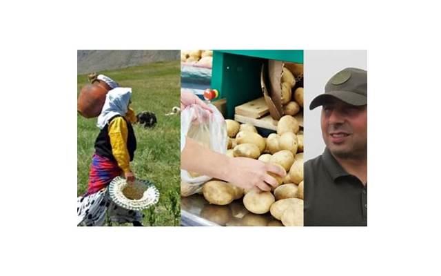 祝愿学校未来发展越来越好的句子精选13句