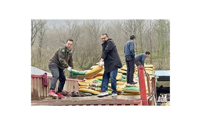  夜空温暖的句子简短合计96句